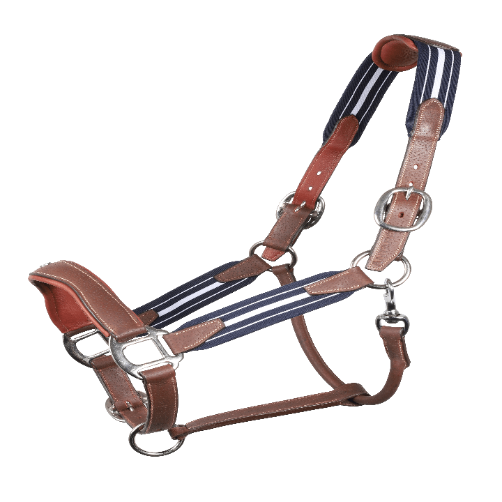 Licol Antares Stressless gréné – Confort, durabilité et design haut de gamme pour le cheval