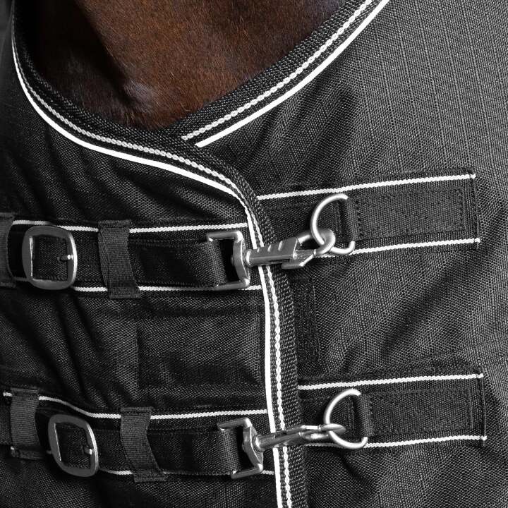 2183BriannaTurnoutRugWEB02_595c8f38-805a-4097-95cf-a456e53a02df_2000x