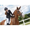 prod-31920-casque-equi-theme-insert-mesh-1500x1500-282052d17a56