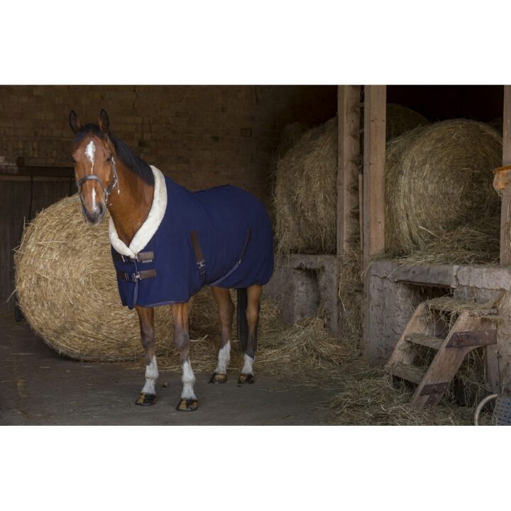 chemise-polaire-equitheme-teddy-4