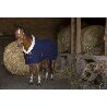 chemise-polaire-equitheme-teddy-4