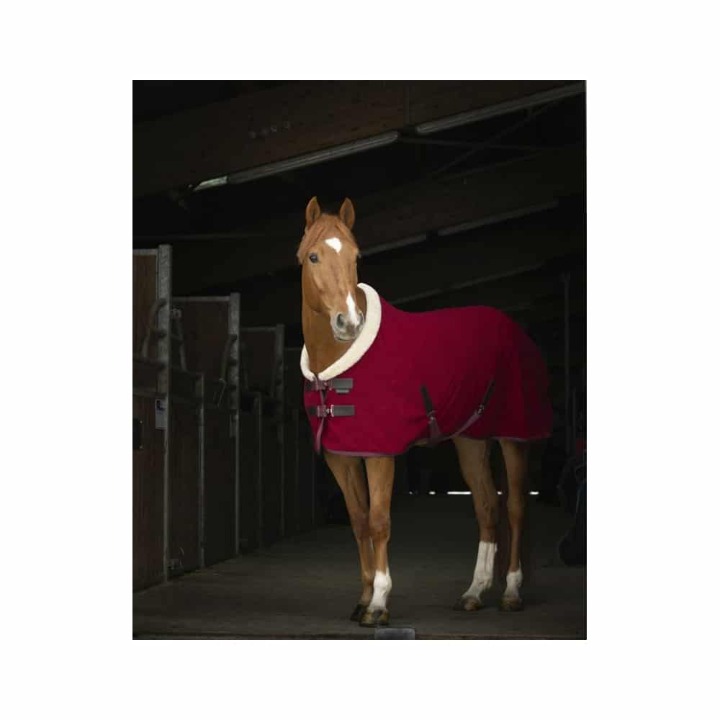 chemise-polaire-equitheme-teddy