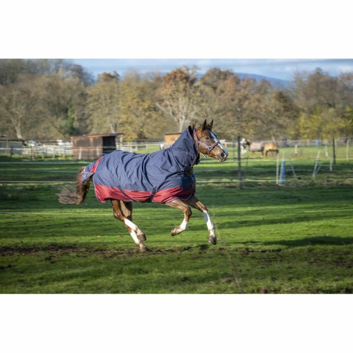 prod-40648-couverture-equi-theme-tyrex-1200d-combo-1500x1500-282052d17a56