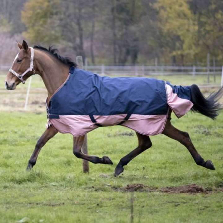 couverture-equitheme-tyrex-600d-polyfil