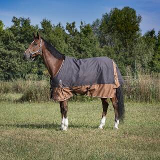 prod-38205-couverture-equi-theme-tyrex-600d-aisance-1024x879-4e514f0fa2d3