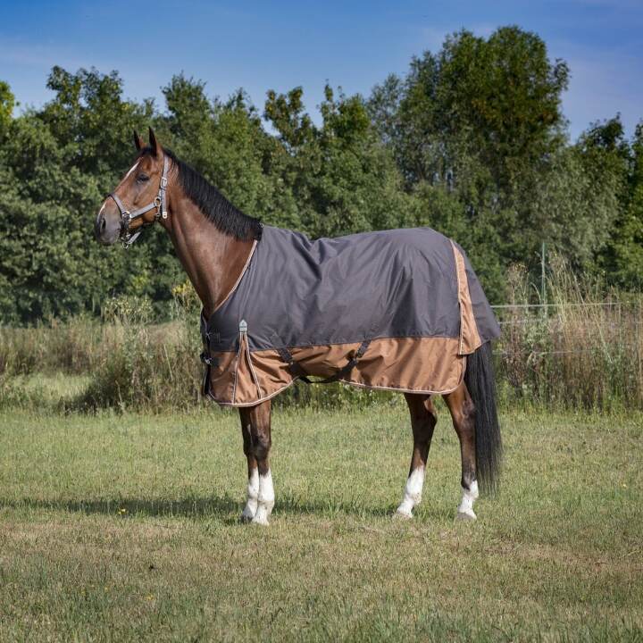 prod-38205-couverture-equi-theme-tyrex-600d-aisance-1024x879-4e514f0fa2d3