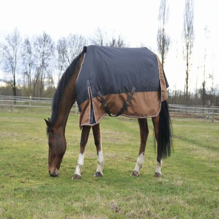 prod-38204-couverture-equi-theme-tyrex-600d-aisance-1024x683-4e514f0fa2d3