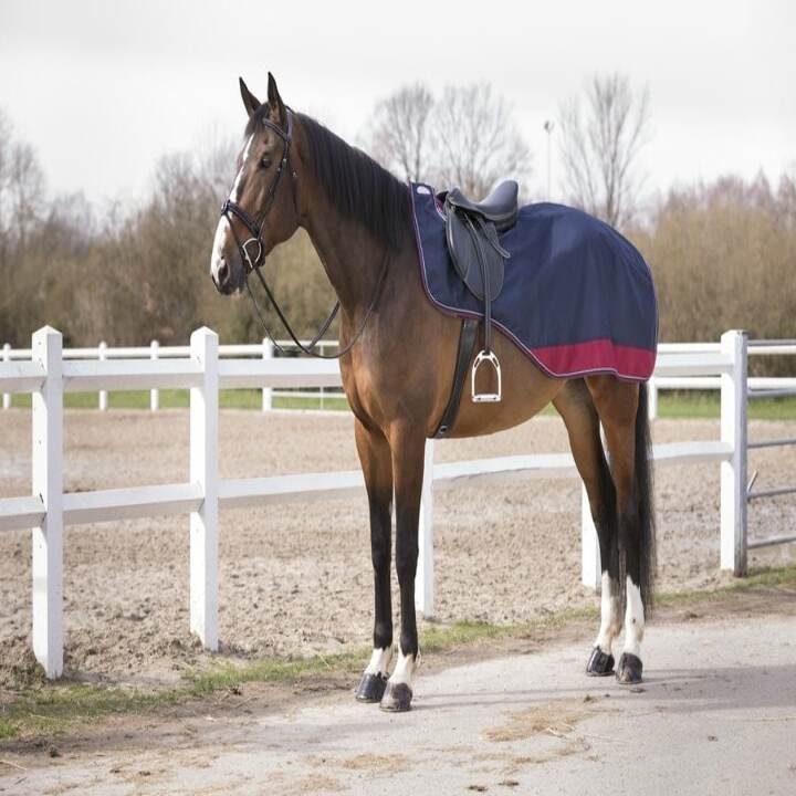 prod-10756-couvre-reins-equi-theme-tyrex-1680-d-double-polaire-900x600-4e514f0fa2d3